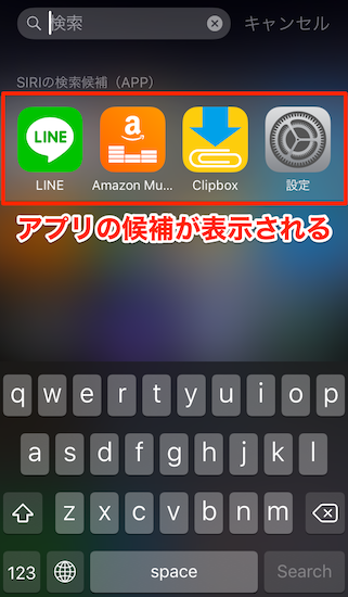 iphone-spotlight_search_customize7