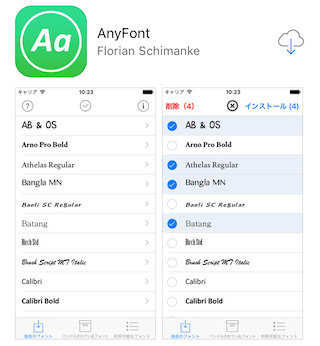 how_to_use_anyfont1